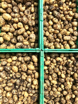 New Potatoes Harvested
