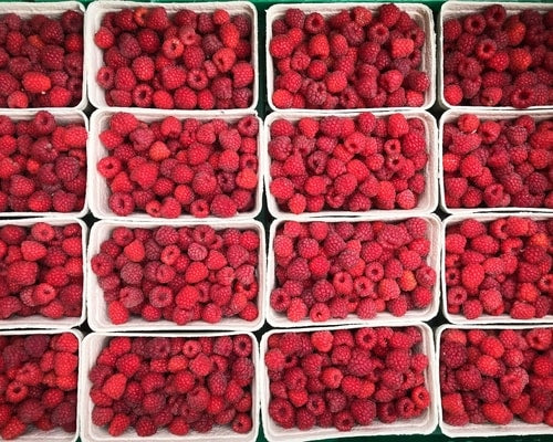 Lovely Raspberries