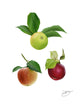 Load image into Gallery viewer, Apples (Mixed Varieties) - 500g
