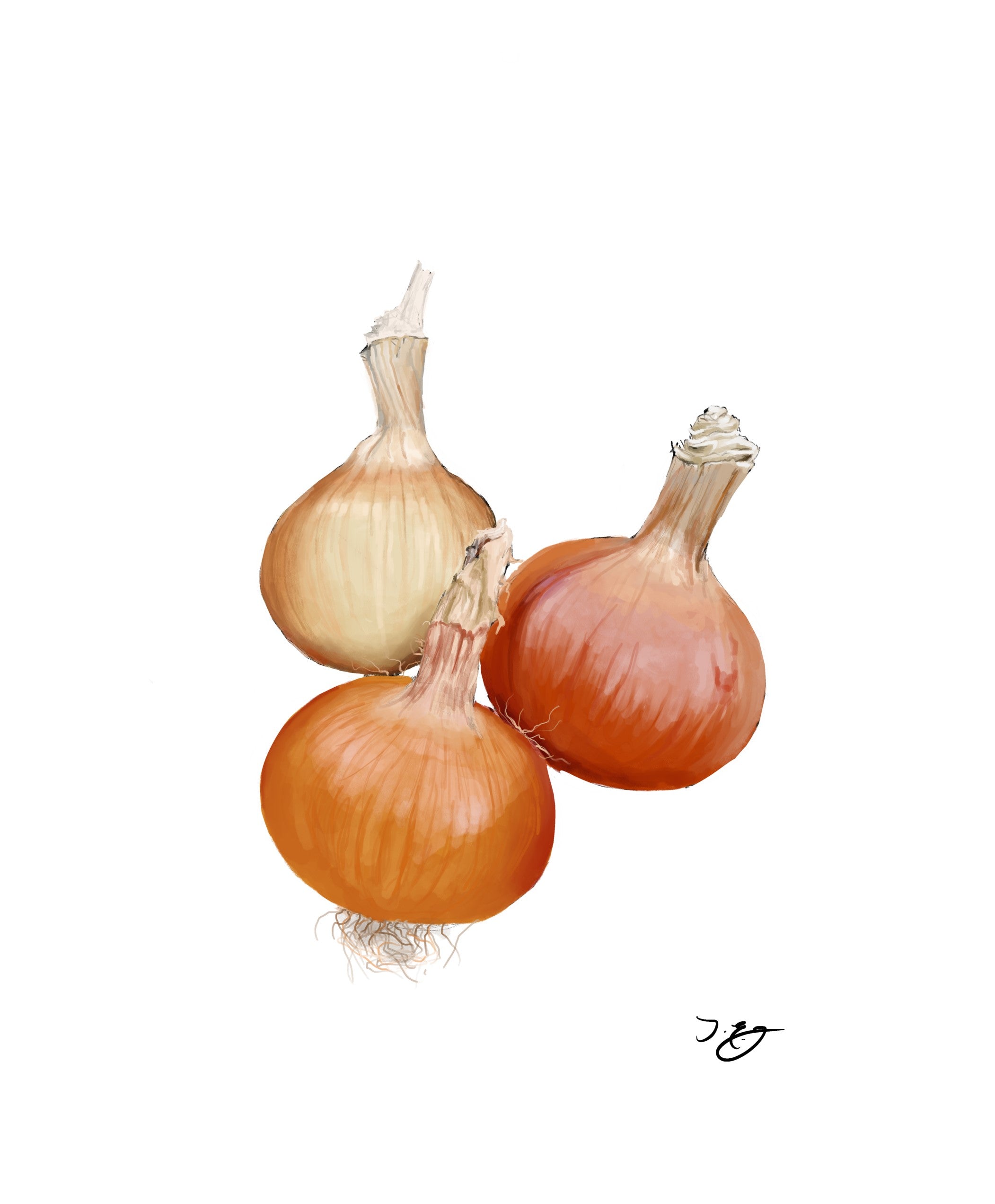 Onions - Golden Skinned - 500g