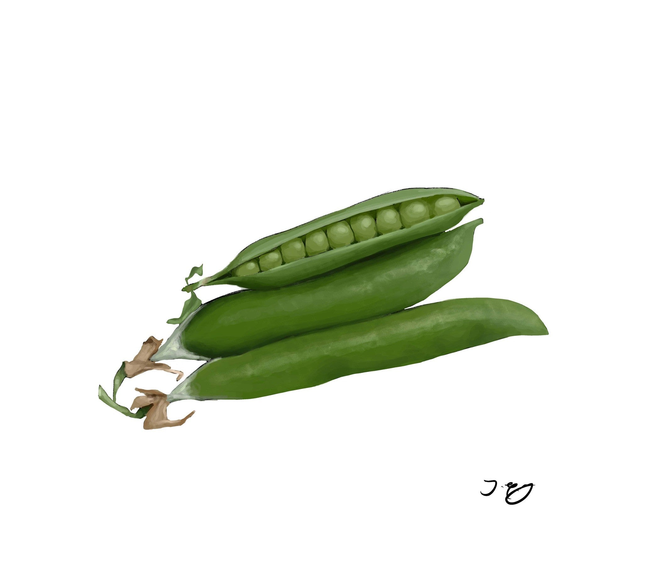 Peas in Pods- 300g