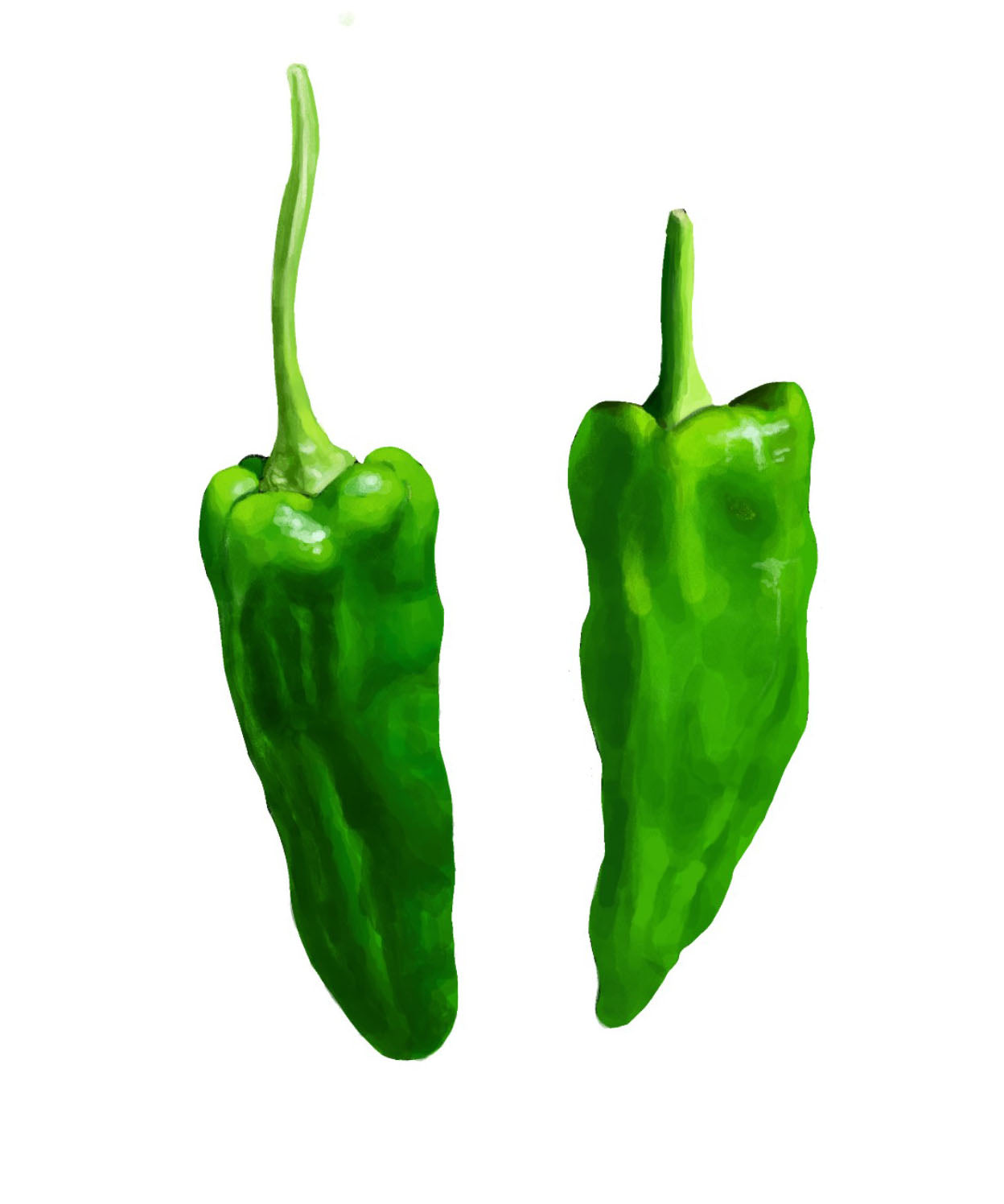 Peppers Padron x 4