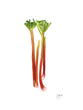 Load image into Gallery viewer, Rhubarb - 500g
