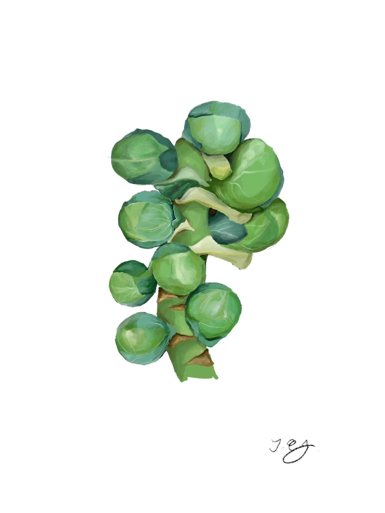 Brussels Sprouts - Loose 500g