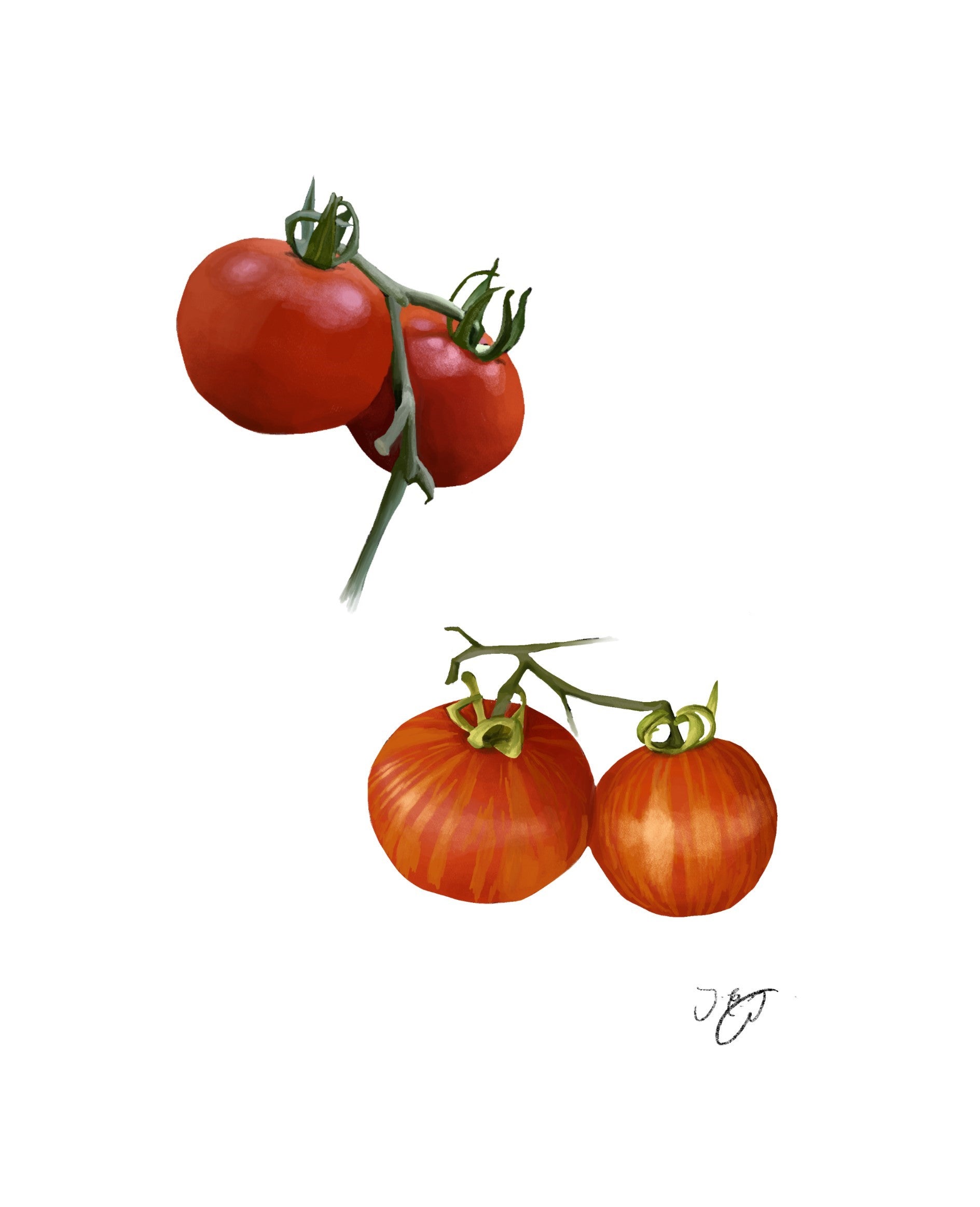 Tomatoes - 500g