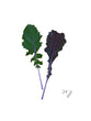 Load image into Gallery viewer, Vivid Choi - Bunch
