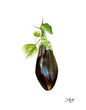 Load image into Gallery viewer, Aubergine
