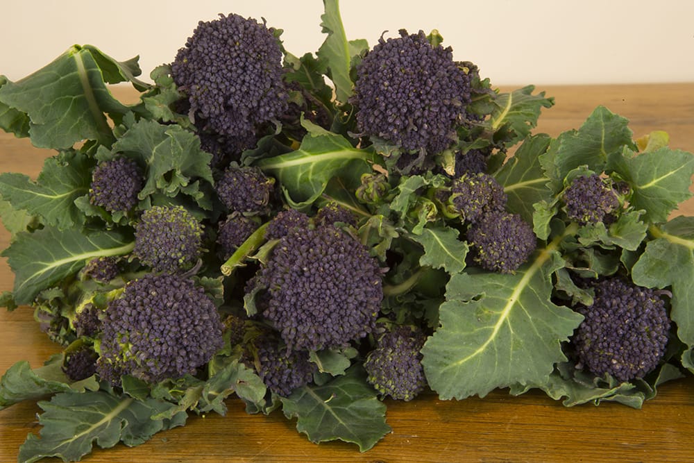 Broccoli - Purple Sprouting - 250g