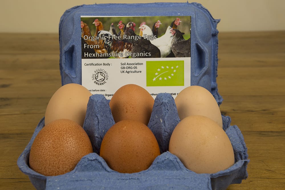 Dairy - Eggs - Hen x 6 (Limit on number of boxes to buy removed)
