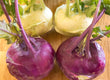 Load image into Gallery viewer, Kohl Rabi - Each
