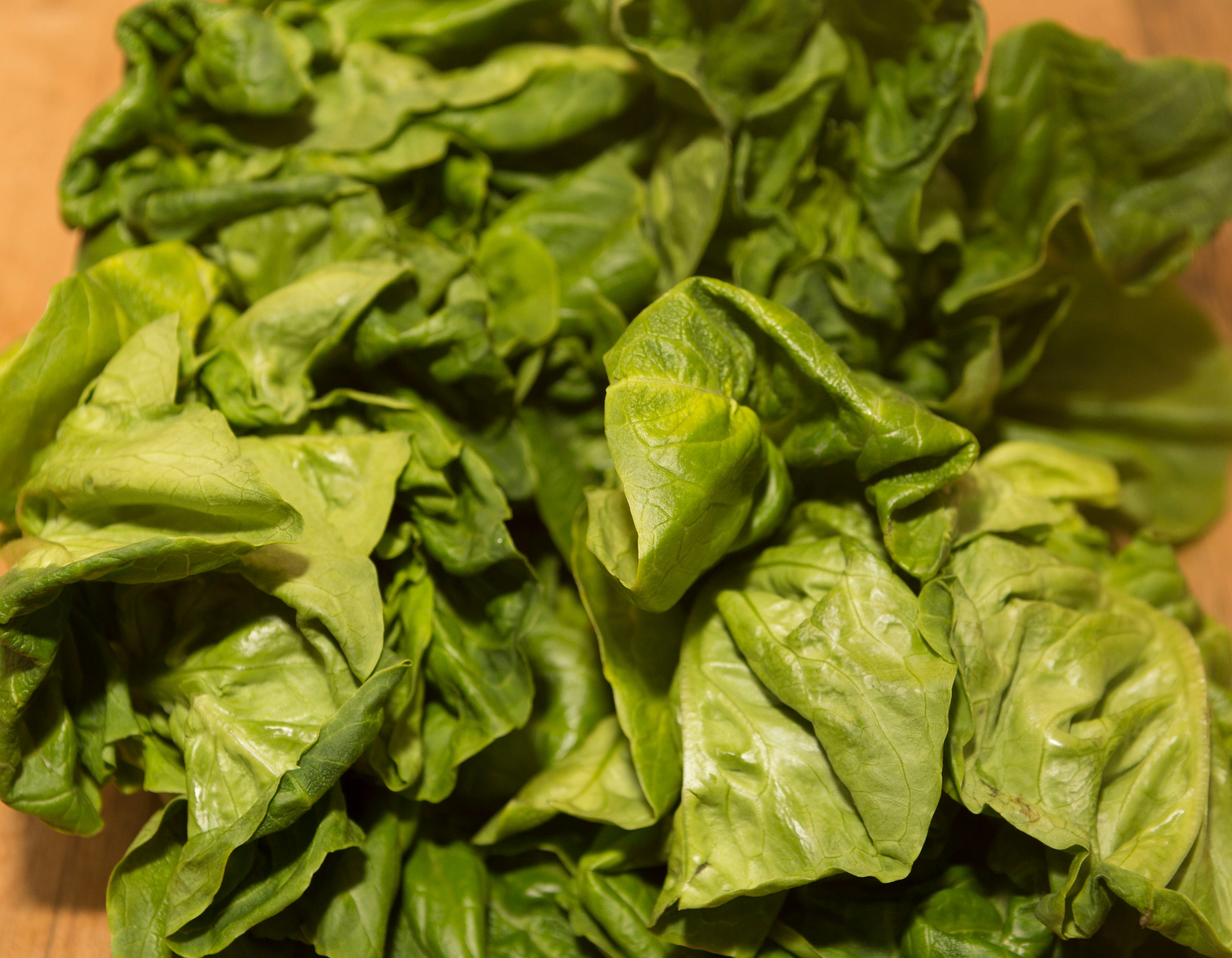 Lettuce Leaves