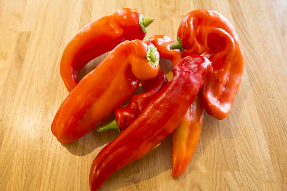 Peppers - Palermo - Each
