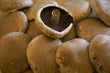 Load image into Gallery viewer, Mushrooms - Portobello - 500g

