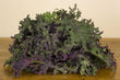 Load image into Gallery viewer, Kale - Bunch
