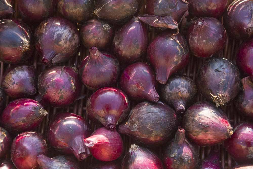 Onions - Red Pickling - 500g