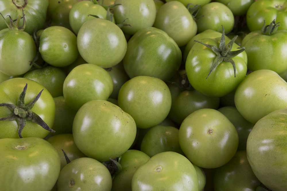 Tomatoes -Green - 500g